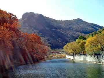 新澳天天开奖资料大全旅游团，安全阀校验台价格